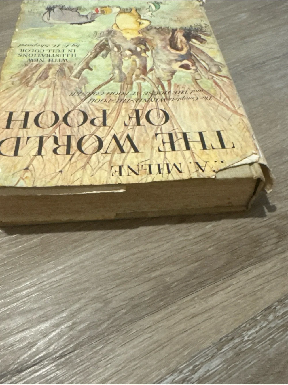 The World of Pooh A A Milne 1957 Illustrated Book, Hardcover With Dust Jacket